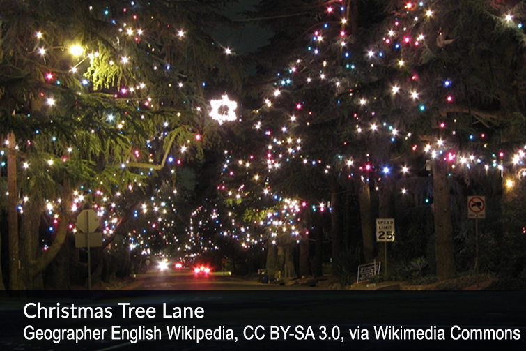 Christmas Tree Lane Geographer English Wikipedia, CC BY-SA 3.0, via Wikimedia Commons