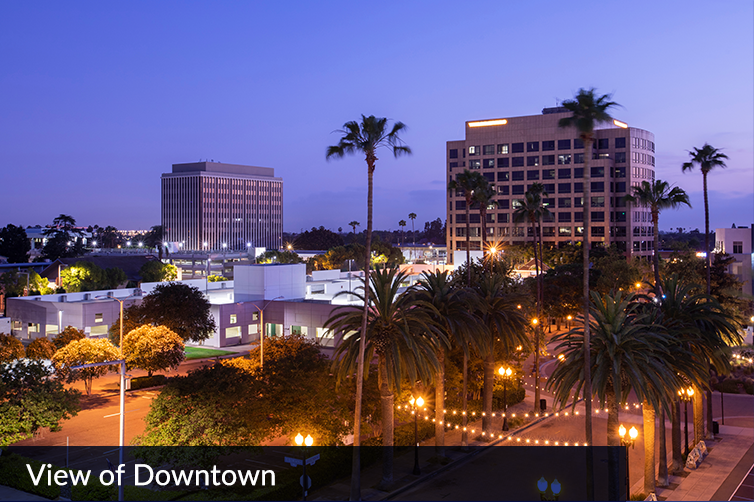 View of Downtown