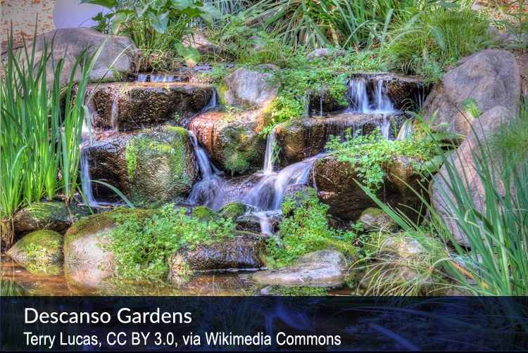 Descanso Gardens