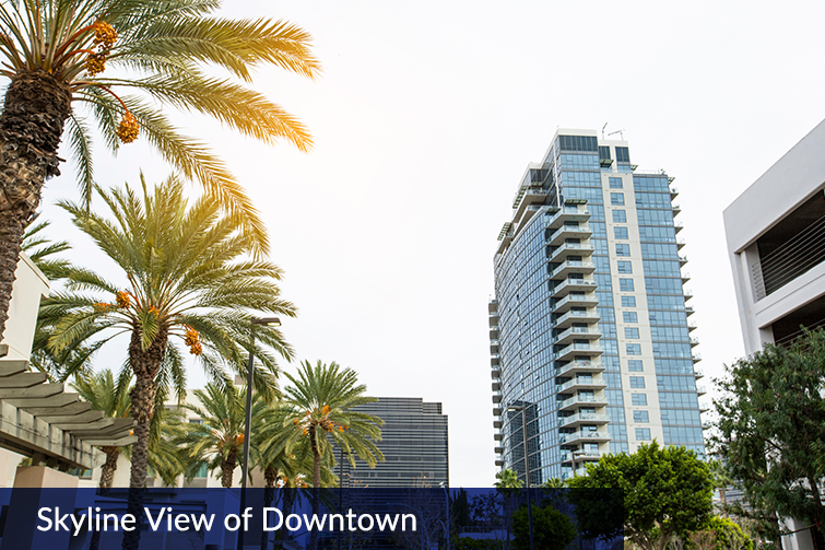 Skyline View of Downtown