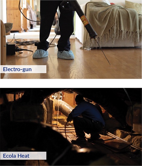 Treatment Methods Electro Gun Ecola Heat