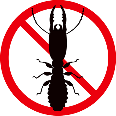 Ecola Termite & Pest Control No Termites