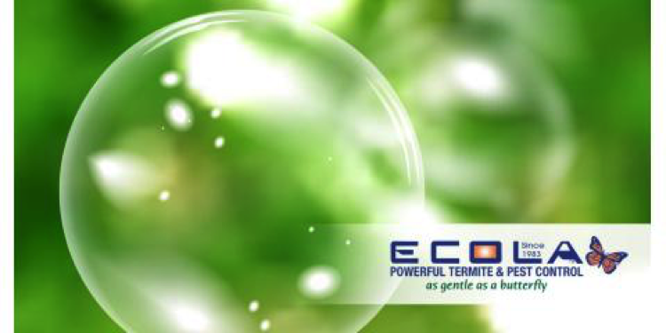 Ecola Termite & Pest Control Green Bubble
