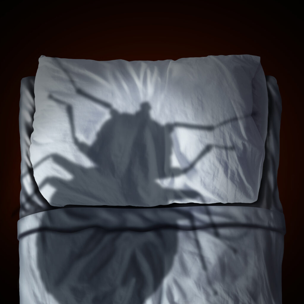 ECOLA Termite & Pest Control Bed Bug Nightmare