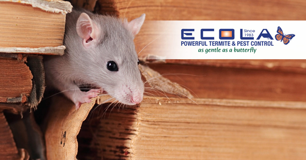 Ecola Termite and Pest Control can help with unwanted pests.